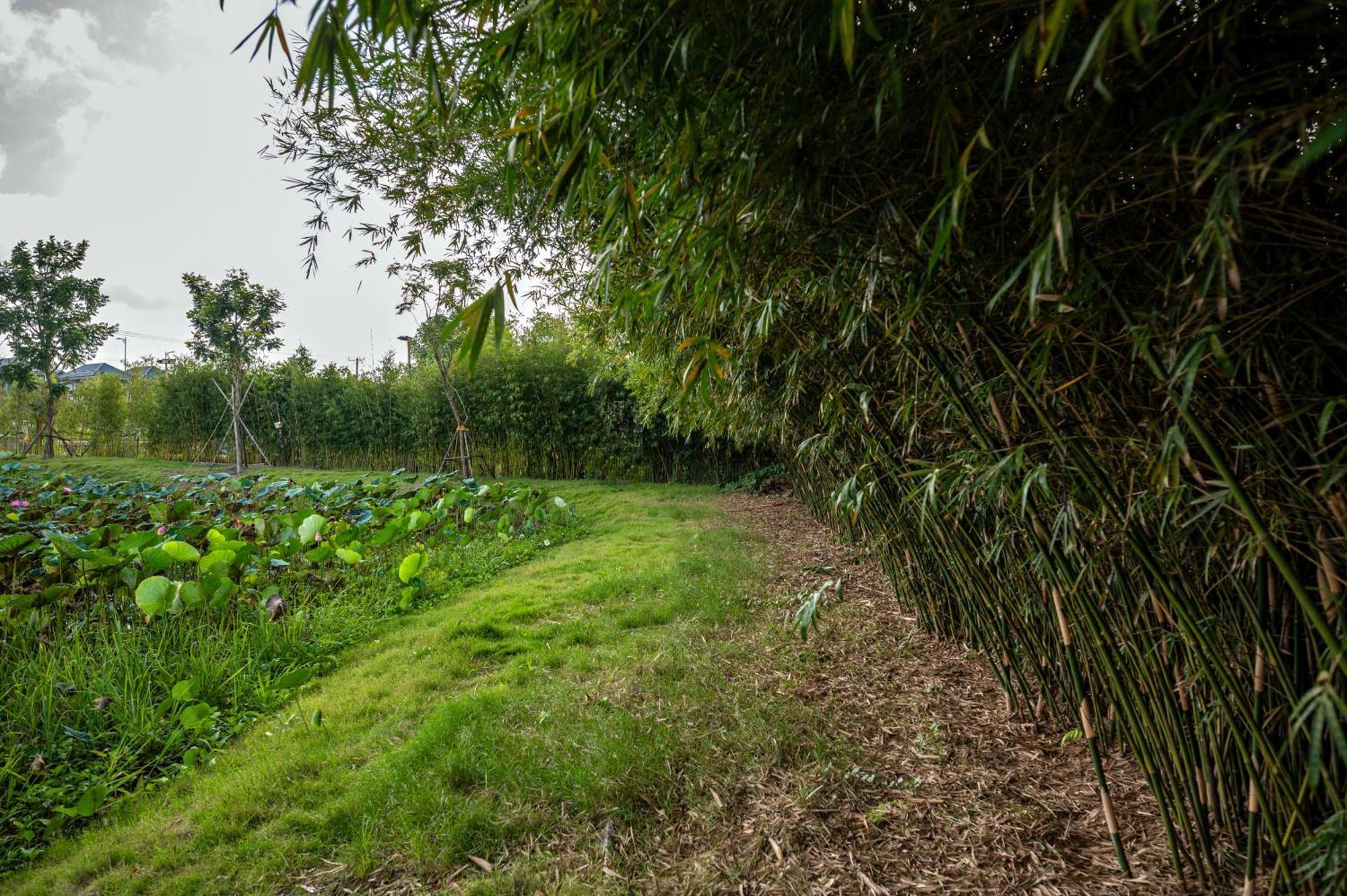 Villa The Bee - Du An Id Junction Long Thanh エクステリア 写真